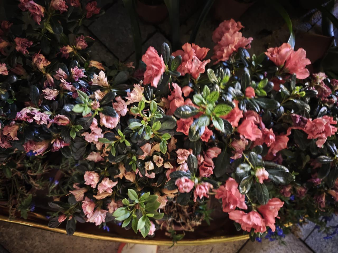 婚姻这东西其实最不是个东西。
婚前很优雅的一个人，也会被婚姻逼得气急败坏。
我曾