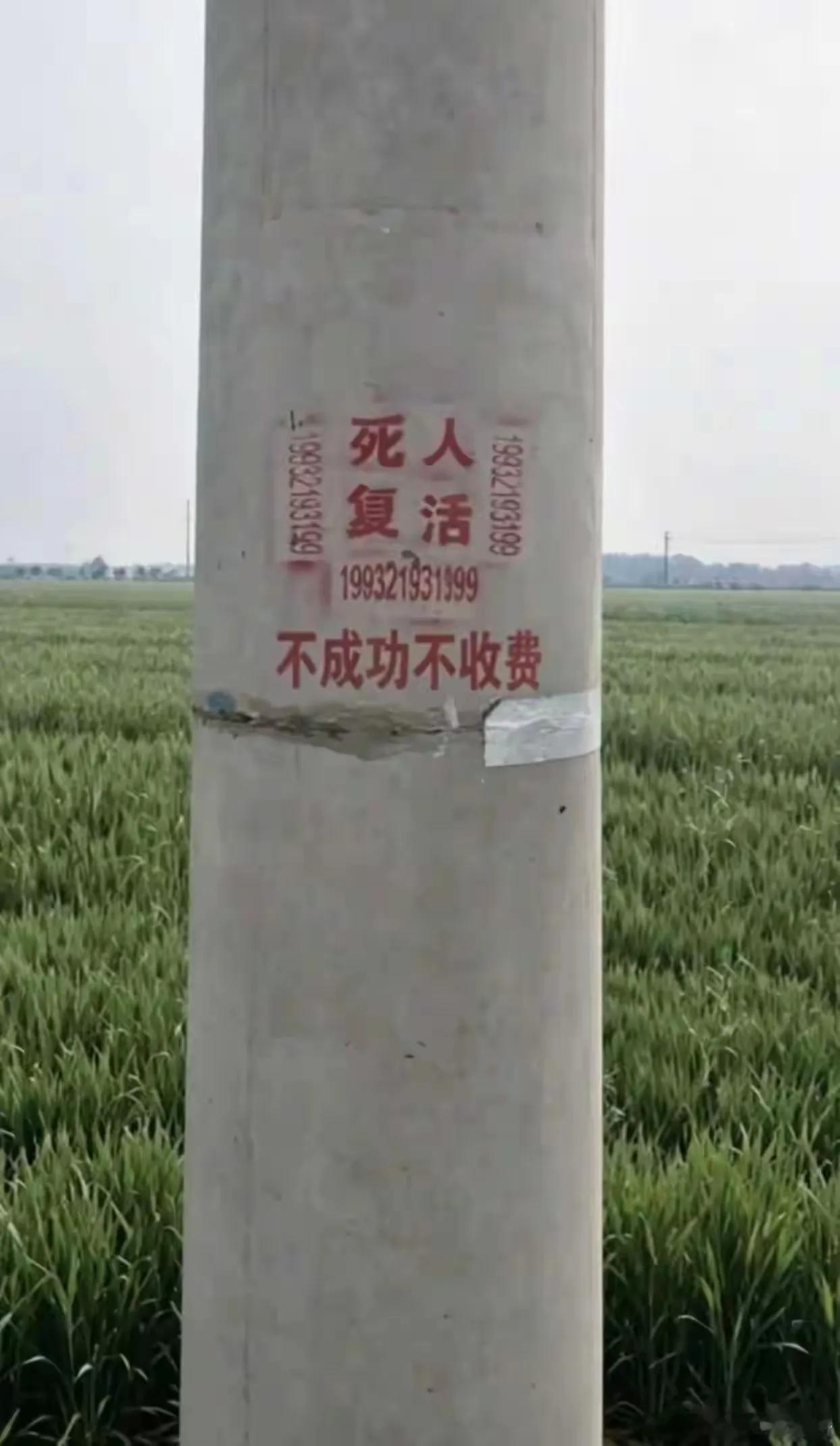 电线杆最离谱野广告火遍全网！看完笑到发抖，胆子真的没边了。田间电线杆上的一则小广