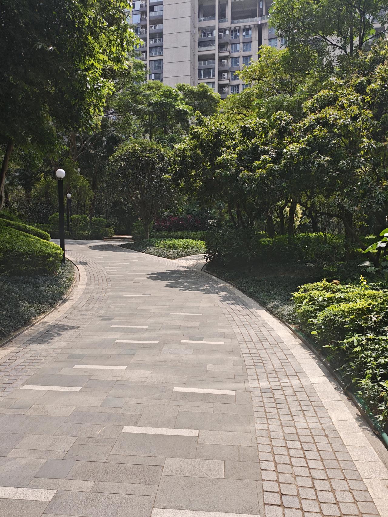 阳光明媚，春天即将收尾
明天不知道走向何处