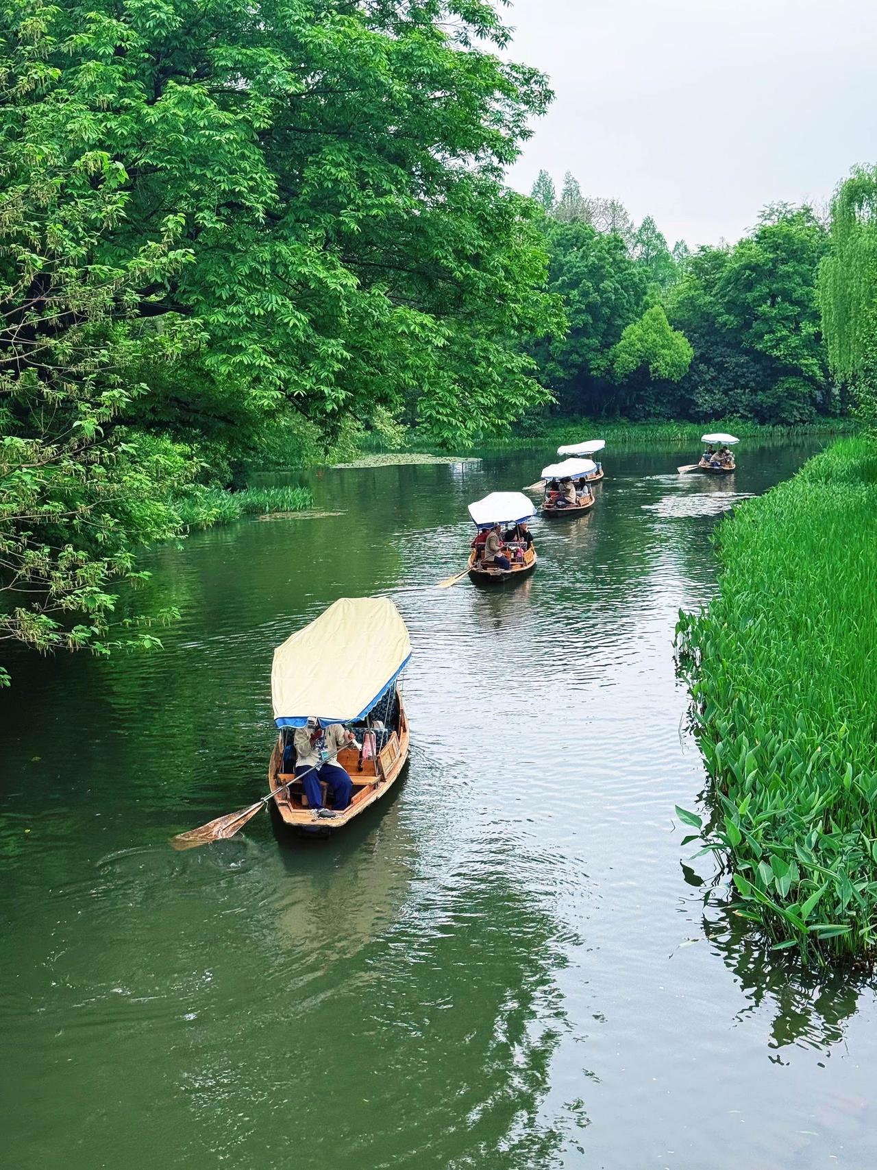 西湖的春天，
是抹茶味的。

微风、碧波、新茶，
每一步都踏在温柔里～