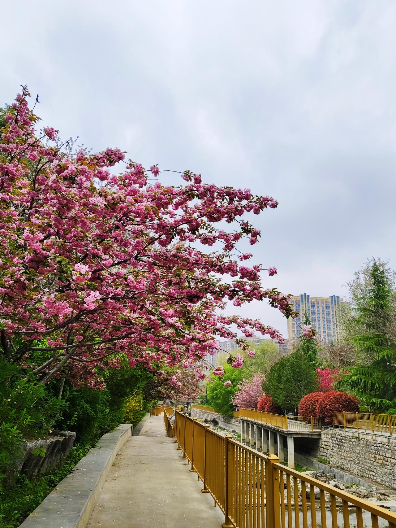 清新怡人的洪山溪步道，离我们家散步最近的地方就是洪山溪步道，平均一周我们要去好几