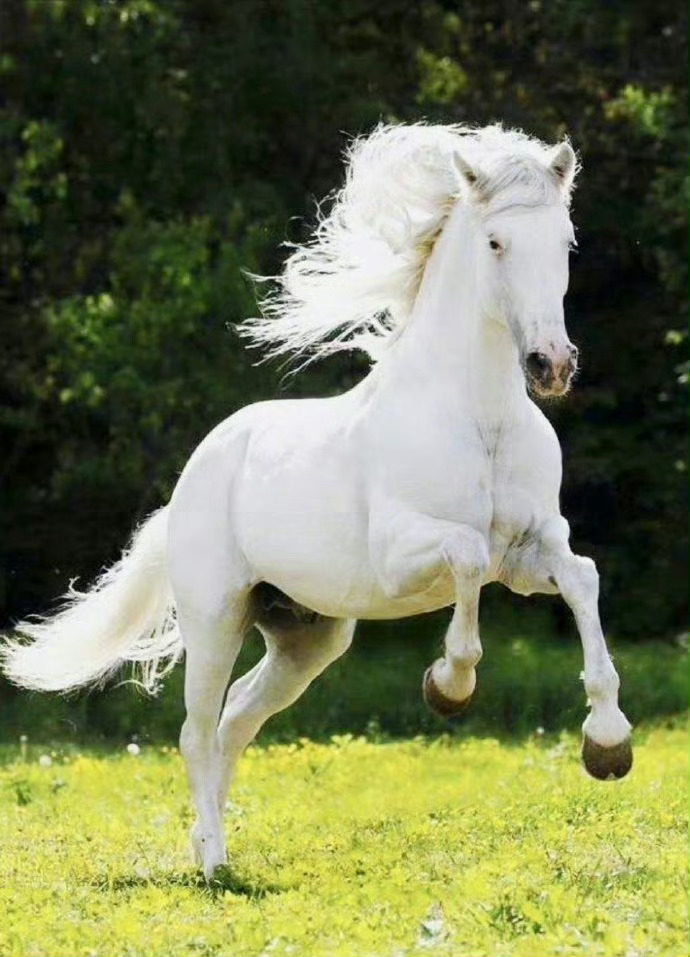 明日大吉，收获久违的惊喜 