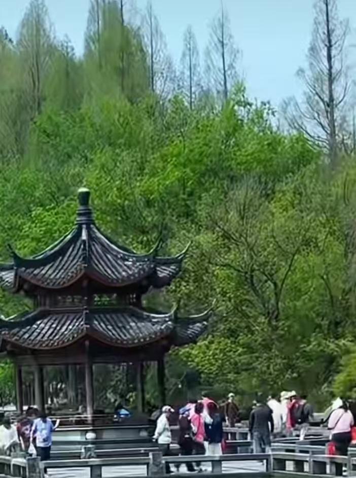 清晨我在公园里散步，看见许多人在晨练！[赞][赞][赞]