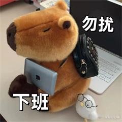 弱不禁风的阿斗，A股普跌低开给我腰吓闪了[费解] 