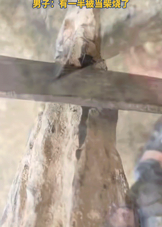 一男子发视频分享，他在河边无意间捡到一根“纯黑”的木头。视频可见，这根木头从横切
