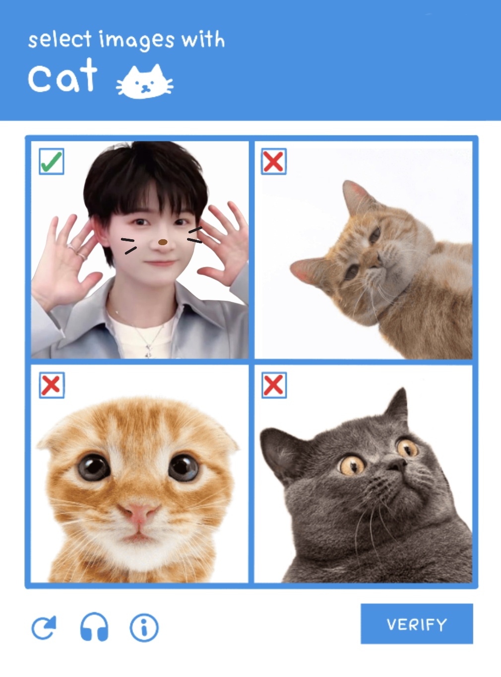 下列图像中请选出小猫咪↓ 