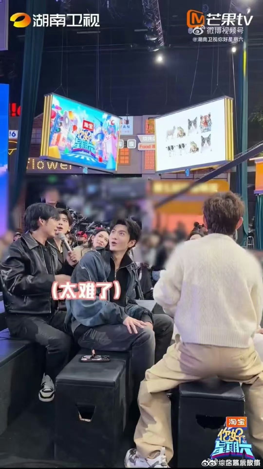 陈哲远张颜齐嘴一个比一个忙你好星期六突然被戳中萌点！陈哲远张颜齐学狗叫，反差感拉