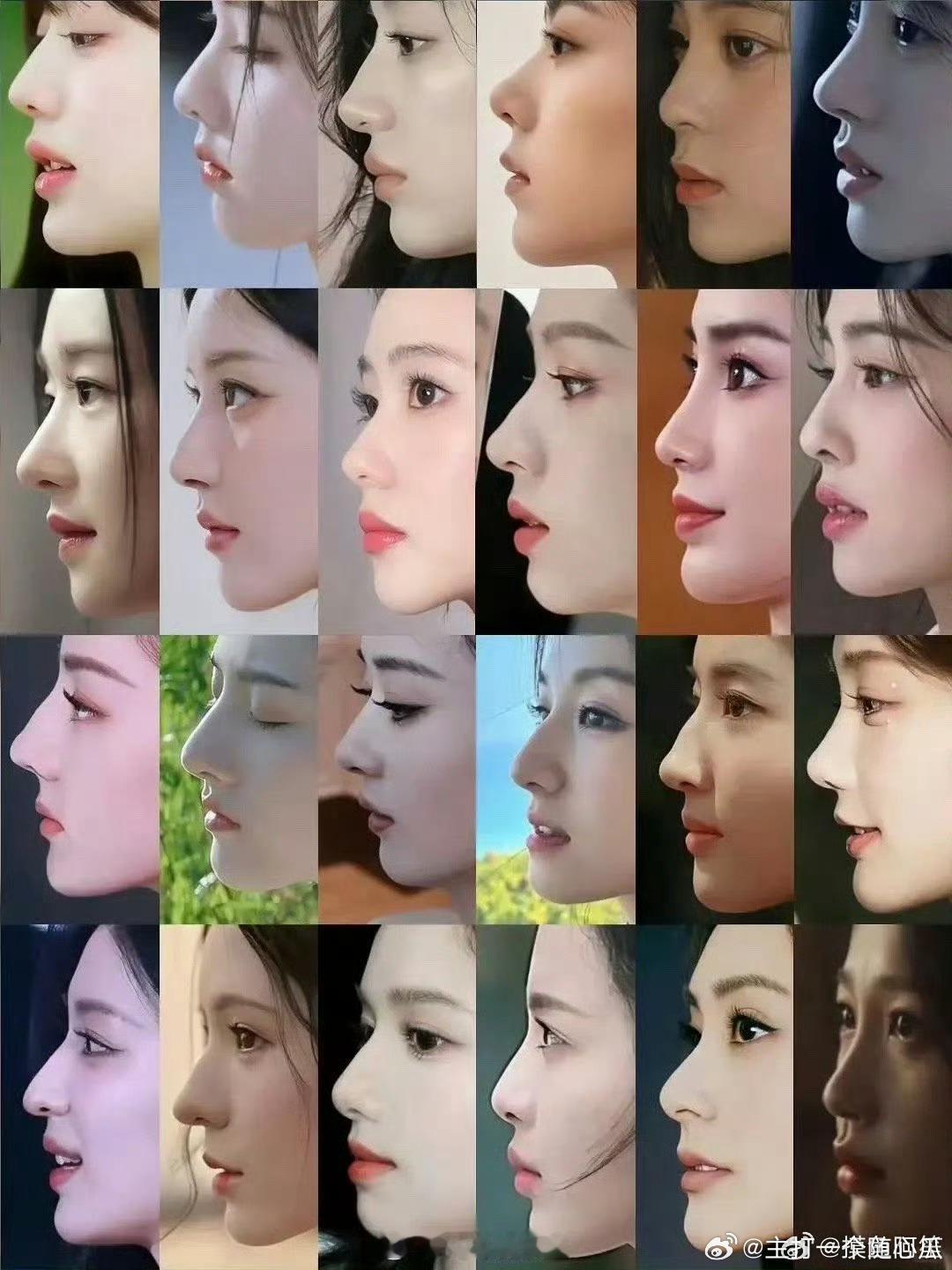 女明星们的侧颜，哪个更吸引人？ ​​​