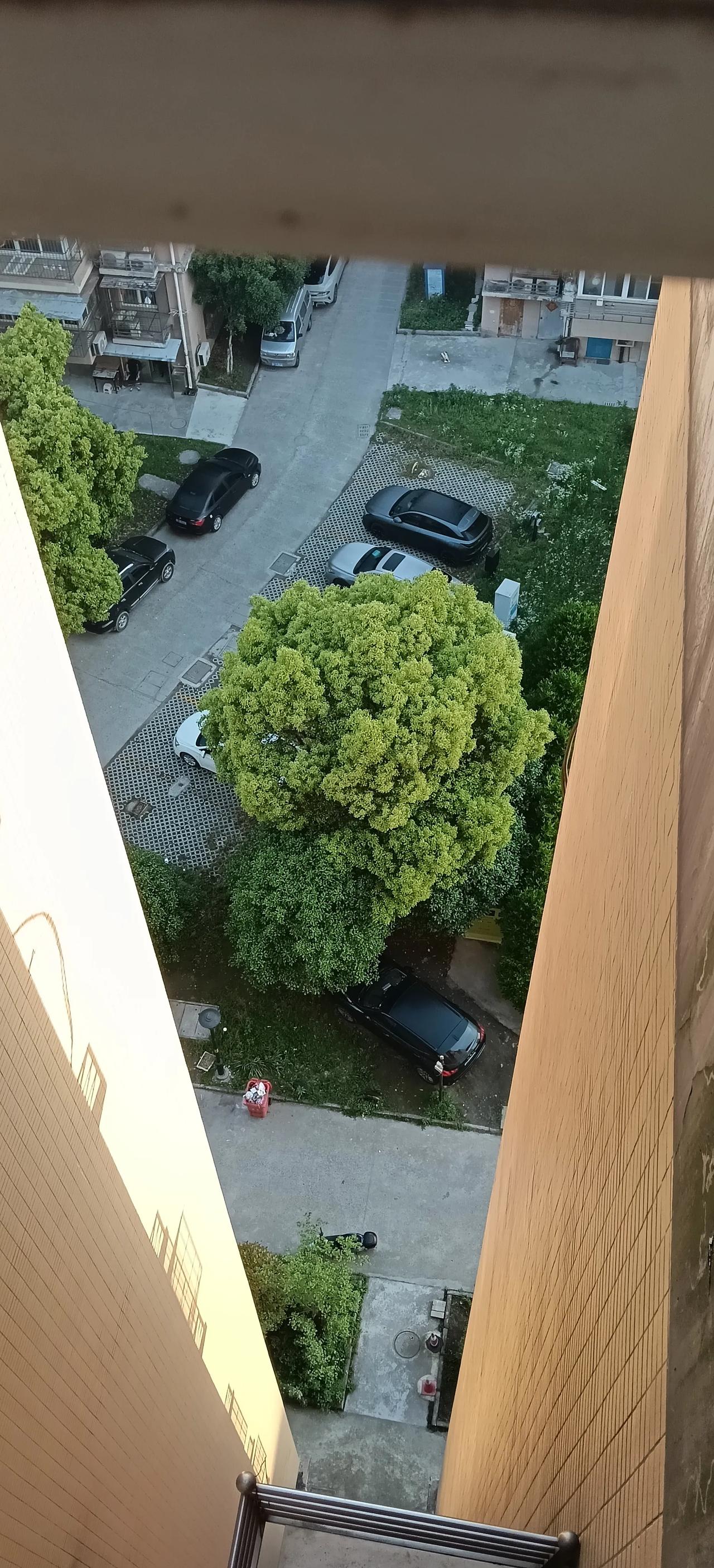 商鞅变法告诉我们：改革是强国的必经之路，唯有打破陈规、勇于创新，才能焕发新生。任