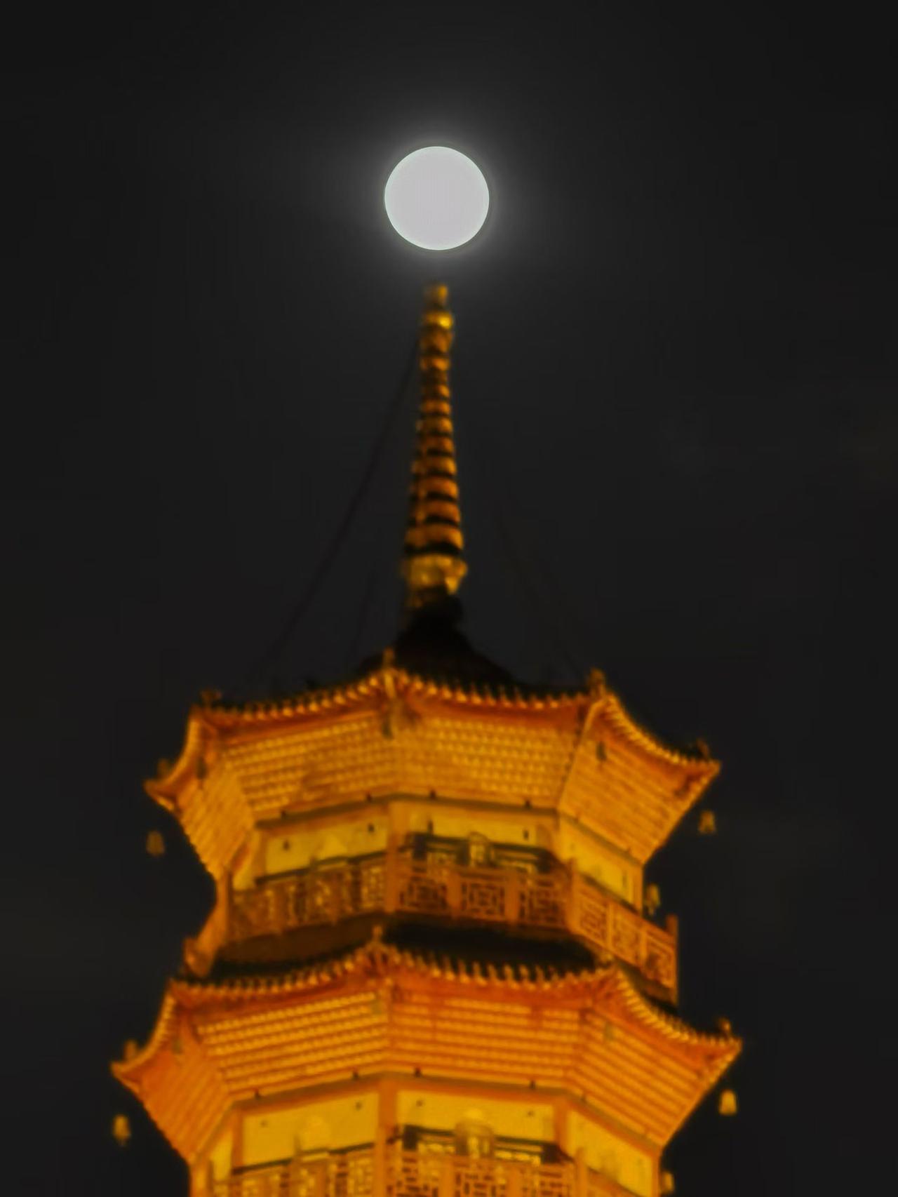 广州市赤岗塔揽住一轮圆月🌕
塔尖轻轻托住八月十七的清辉
城市灯火与天上月光相逢