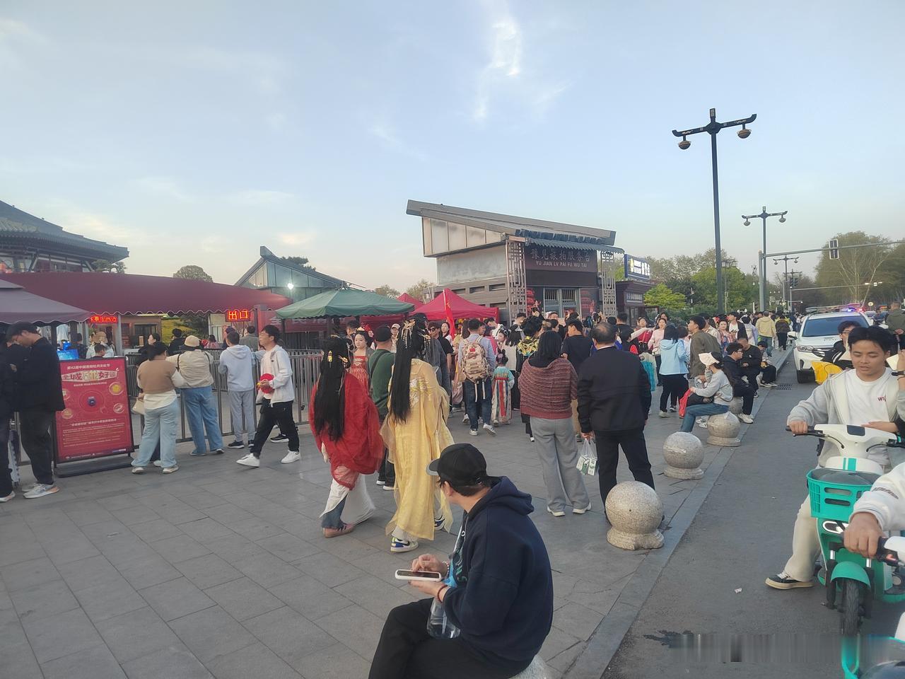 今年咱洛阳的牡丹花会开幕时间咋感觉有点捉急啊，这路边儿的牡丹花都还没有开，就捉急