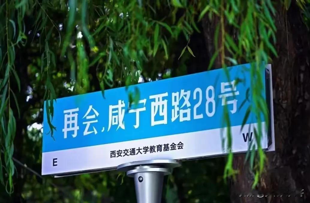 六月清风徐来，

青春光影斑驳，
今天
西安交大又迎来了属于

莘莘学子的毕业季