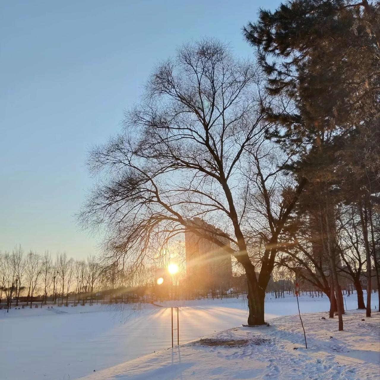 [玫瑰]春夏秋冬，皆有不同的风景，你就像一缕暖阳，穿过时空的隧道，照亮我前进的道