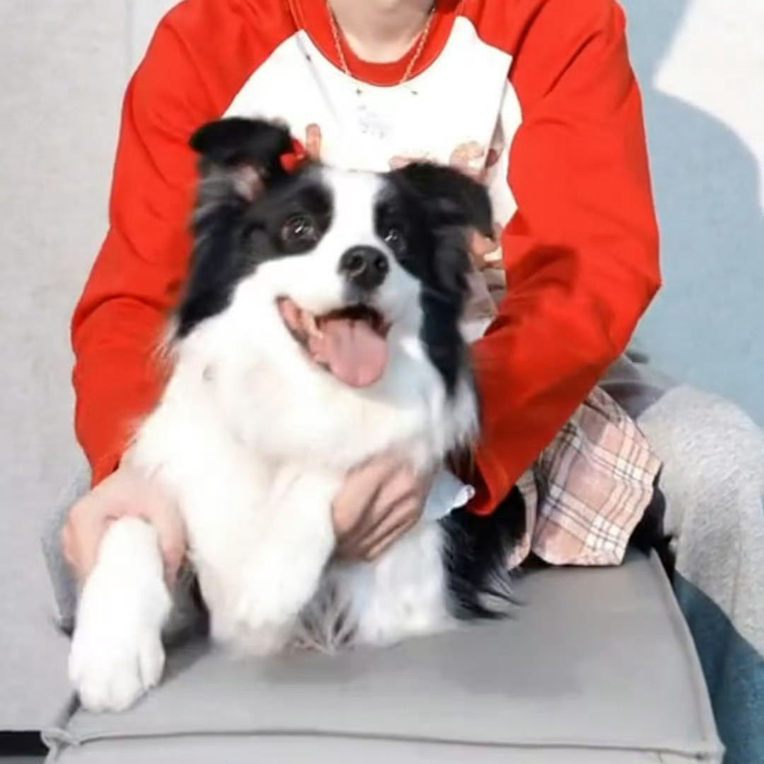 宋亚轩鼠标父女款 啊啊啊啊啊啊绝美父女档！宋亚轩珍珠小美狗