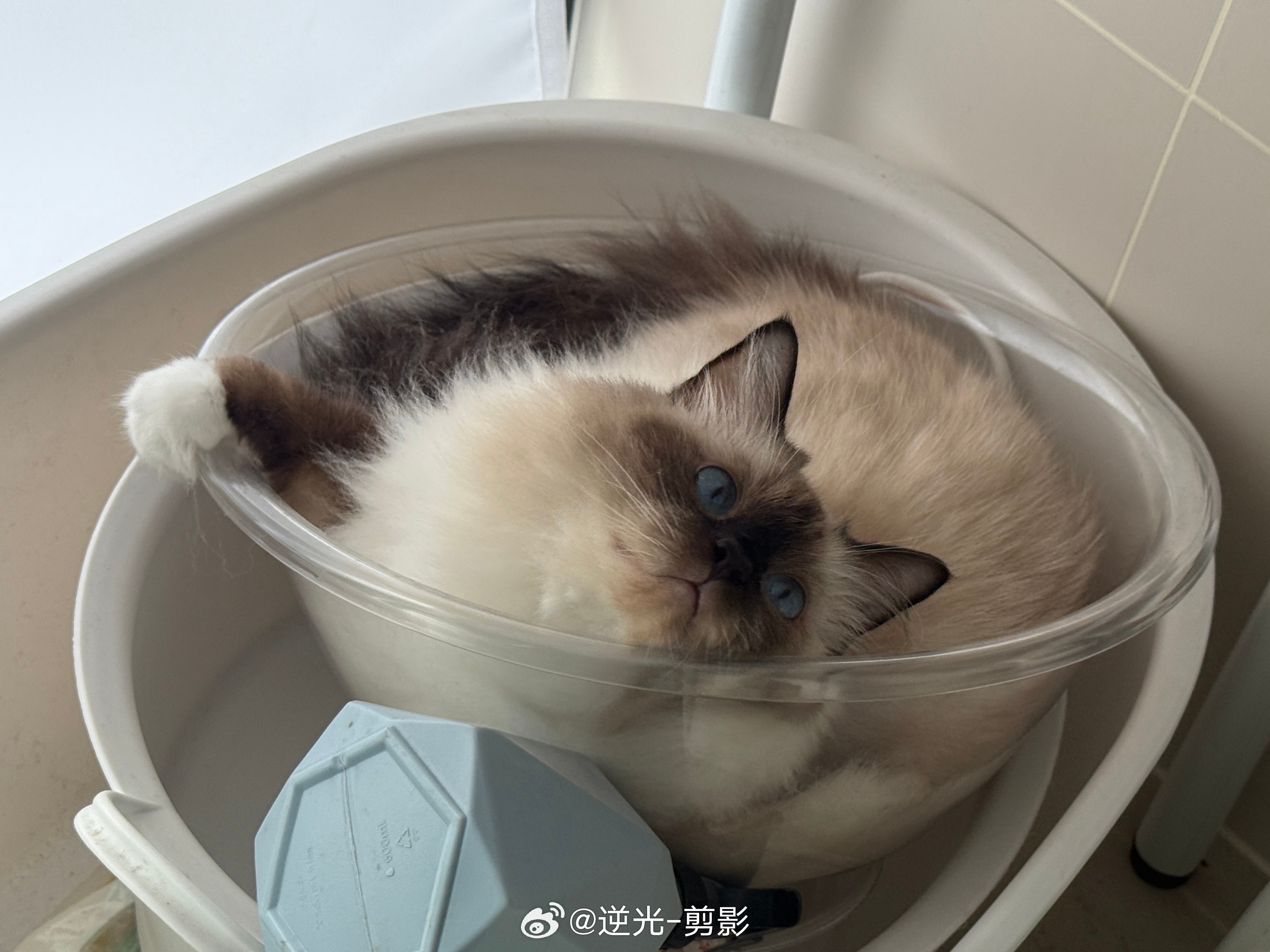 今天周六🌾 ​​​