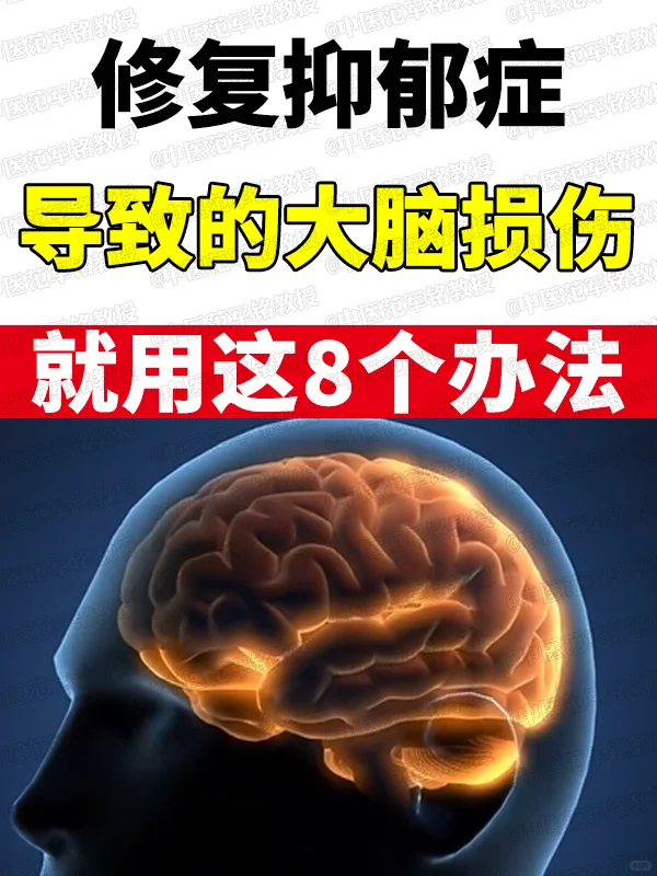 修复抑郁症导致的大脑损伤，就用这8个办法 	 1、中薬调理 	 中薬是...