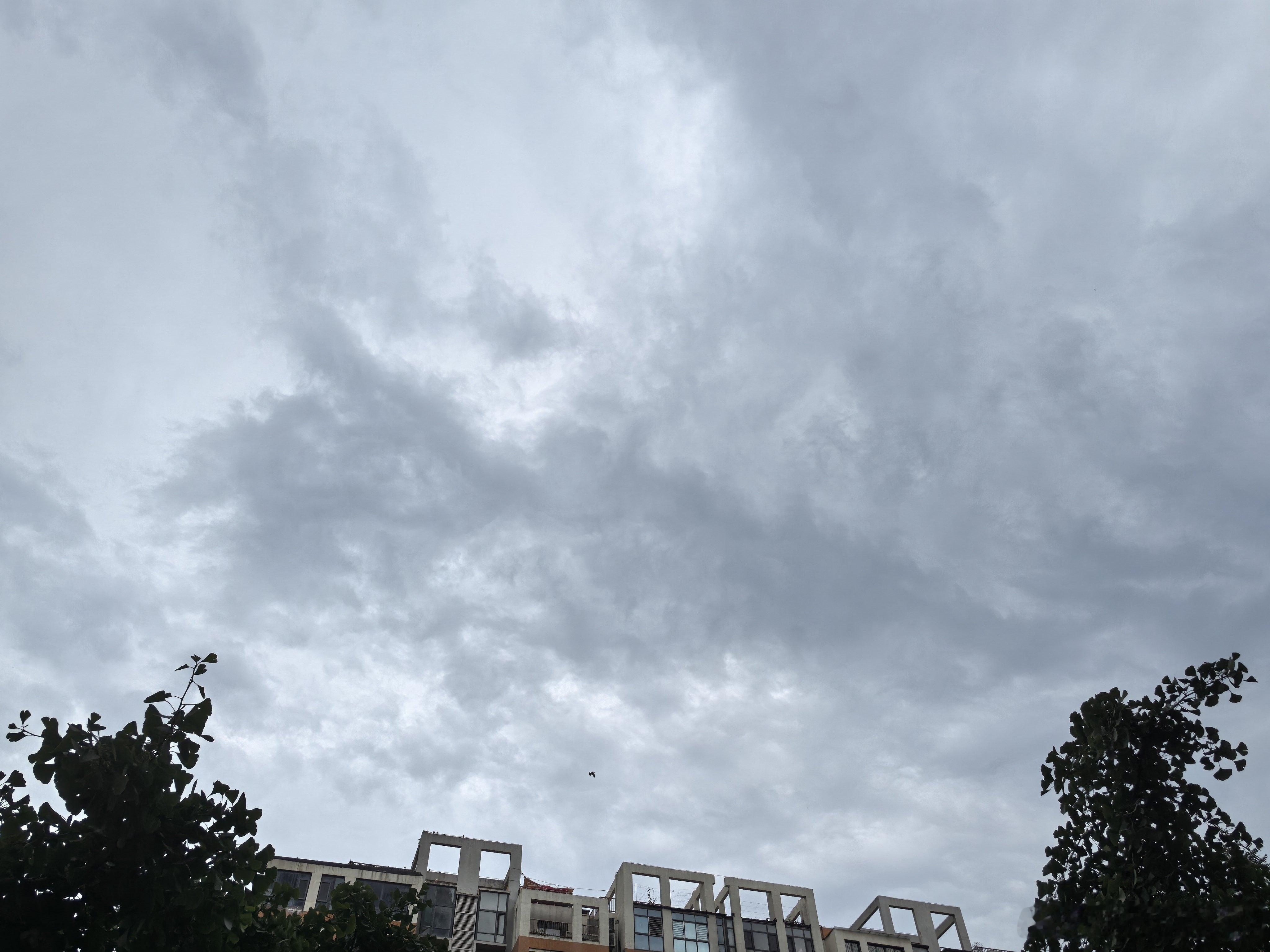 生活手记  预报的雨下哪里去啦！热热热🥵。 西安·浐灞半岛