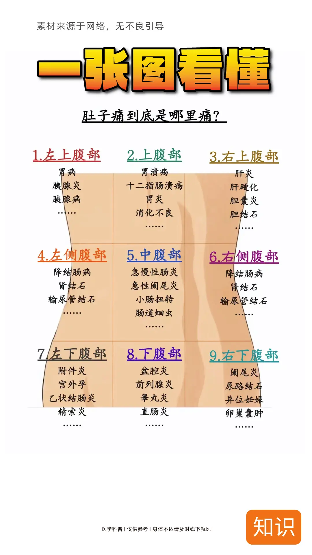 一张图看懂，肚子到底哪里疼！