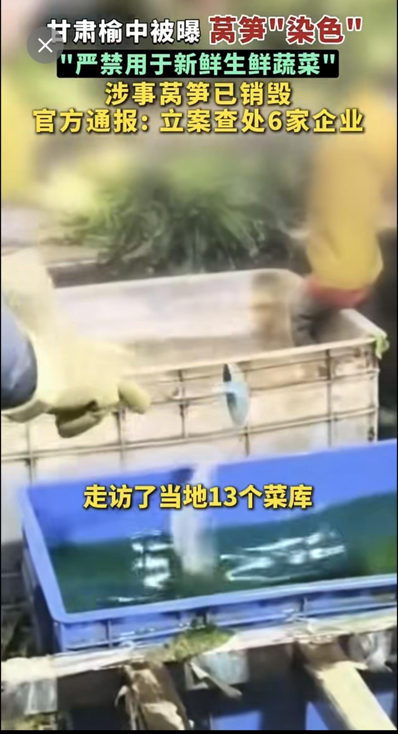 9月5日，甘肃榆中被曝莴笋"染色"，涉事莴笋已销毁，官方通报: 立案查处6家企业