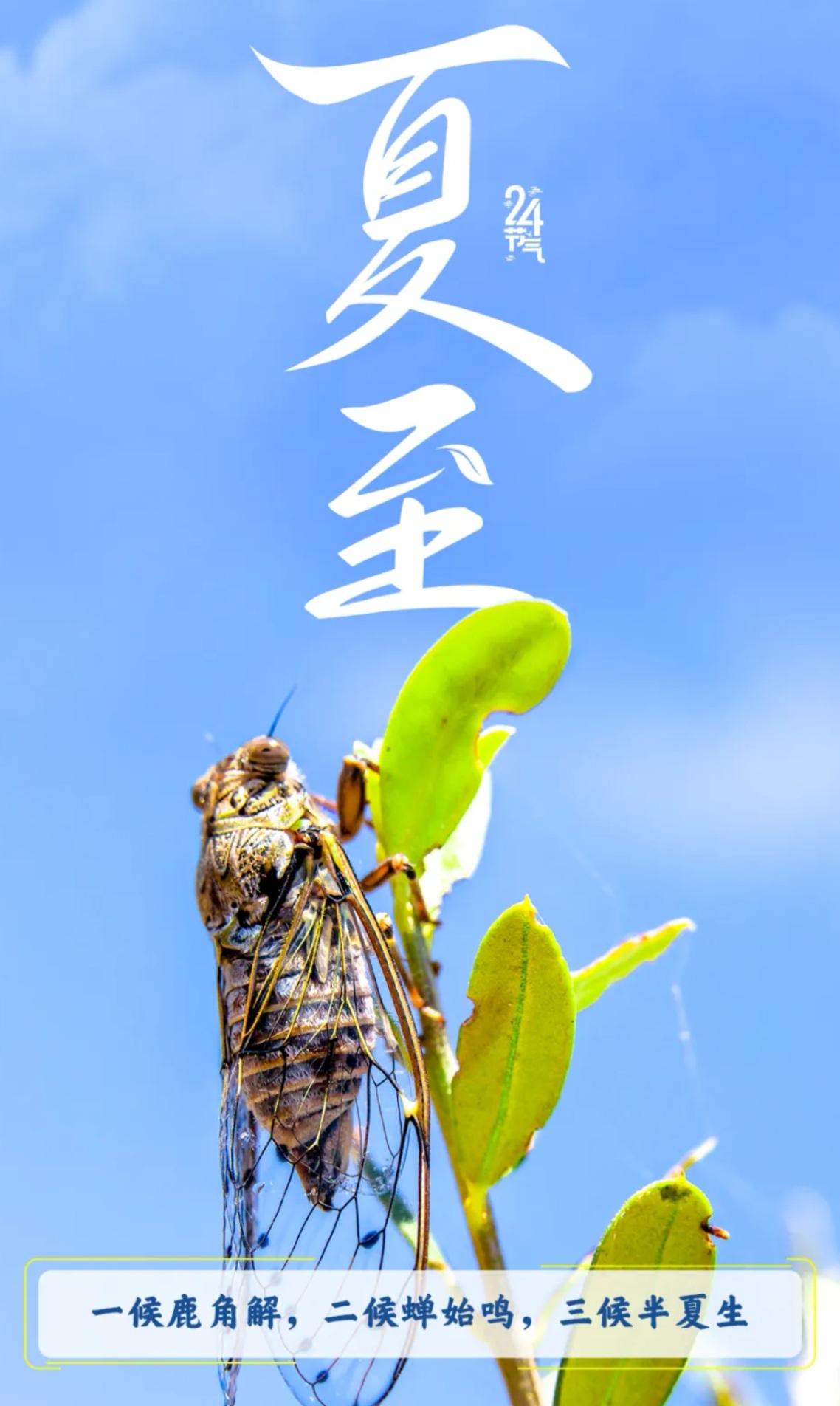 今日夏至 | 白昼最长的一天，这些事你一定要知道

北京时间2026年6月21日