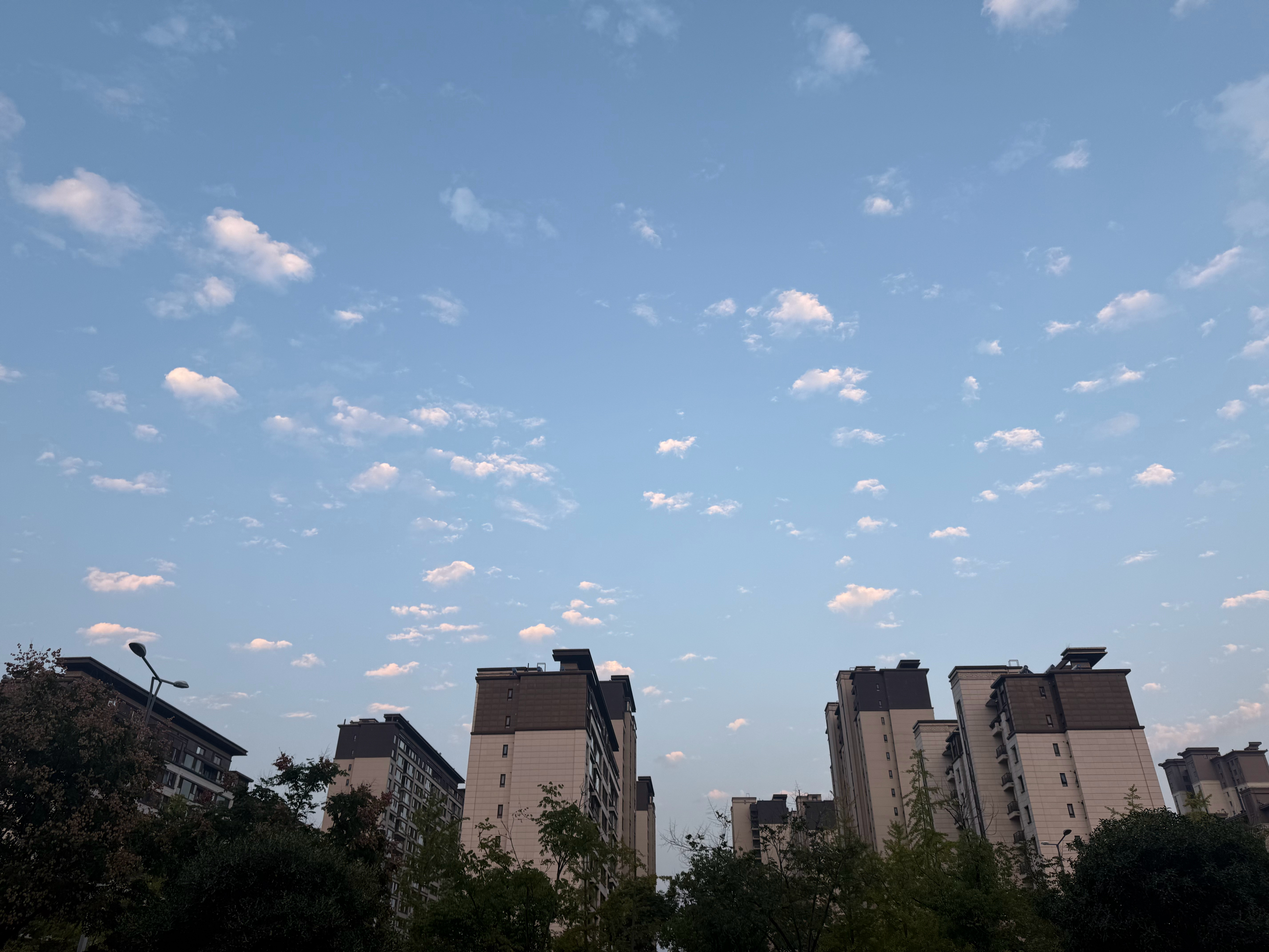 头天气不错呀！  ​​​