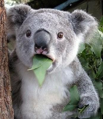 2015年8月18日上证告别4000点，睽违十载，今日重现。其实指数的意义已经失