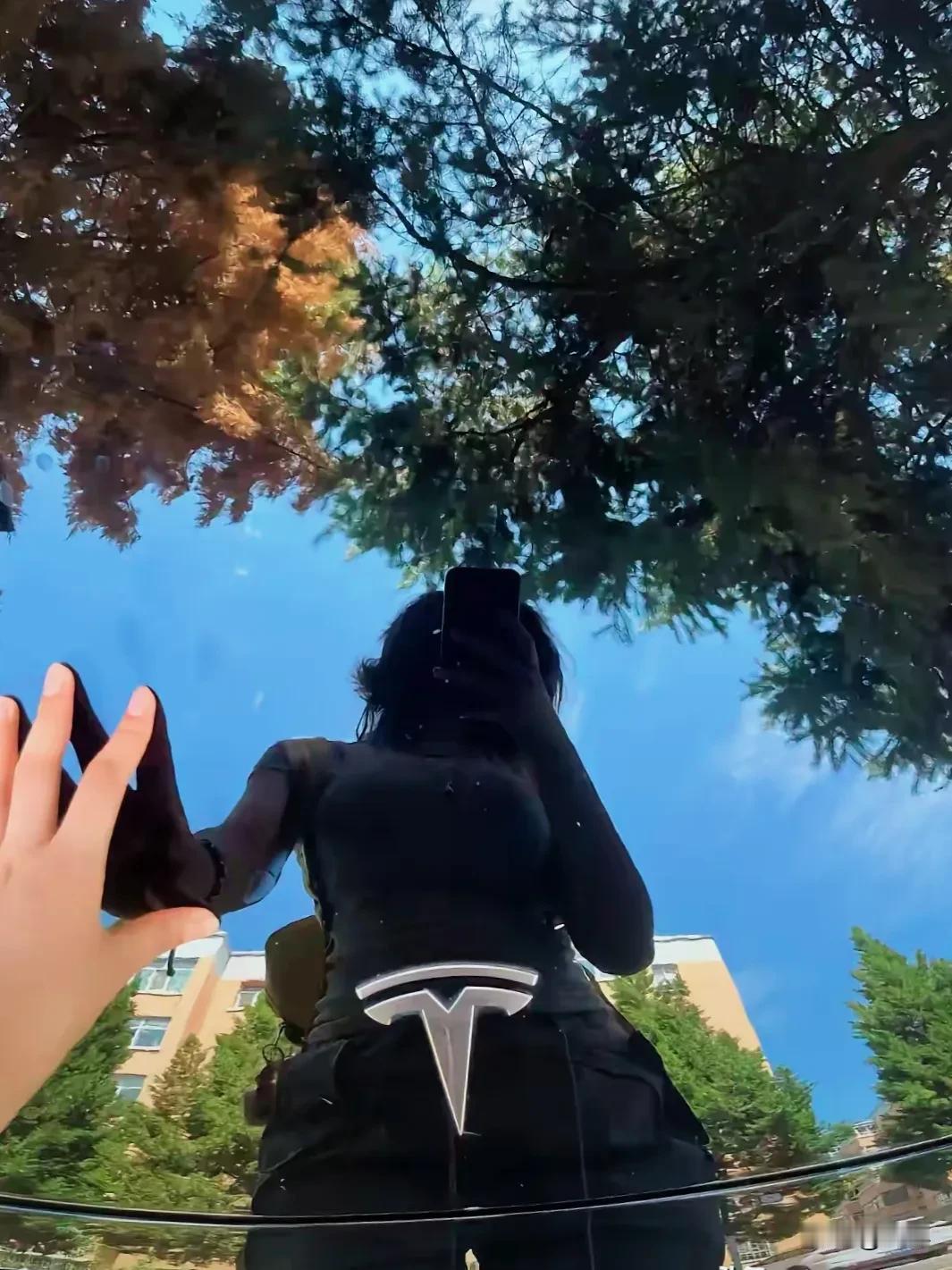特斯拉的车标很奇怪哦。