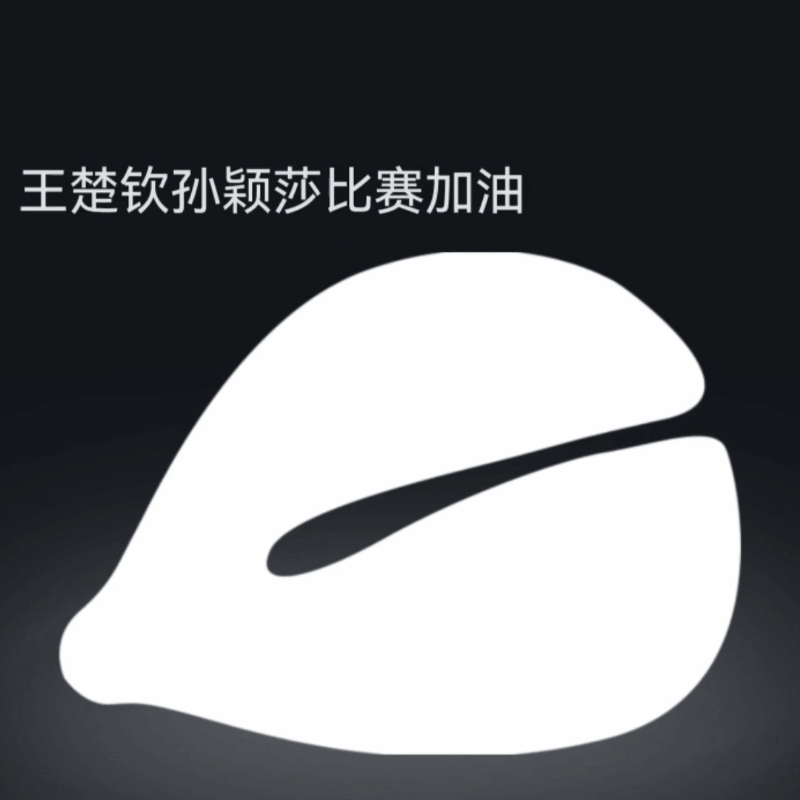 王楚钦孙颖莎比赛加油！莎头加油加油加油！！！ ​​​