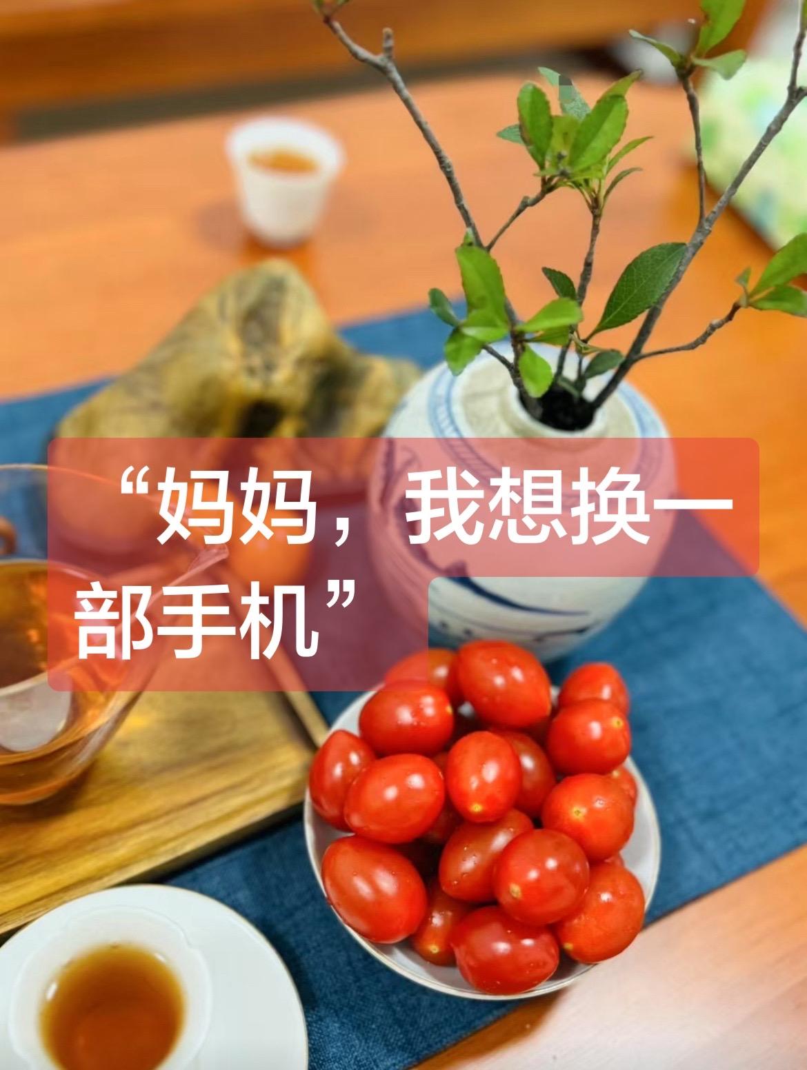 女儿，
你问我：
“妈妈，我能不能换一部手机？现在用的还是你的旧手机。”

你还