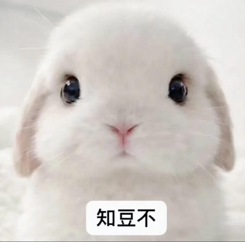 我保证许则是天使 