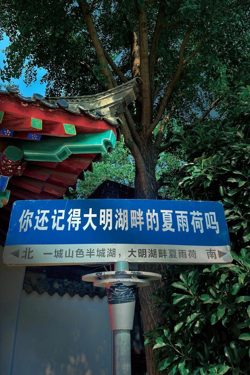 没有文化真可怕，
虚构人物当手帕；
城市图腾无灵魂，
牵强附会少有夸。

泉城风