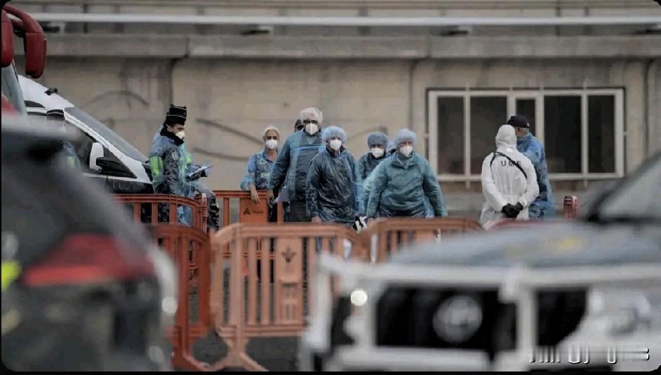 一名美国公民和一名法国公民在从爆发致命汉坦病毒疫情的邮轮上撤离后返回各自国家，两