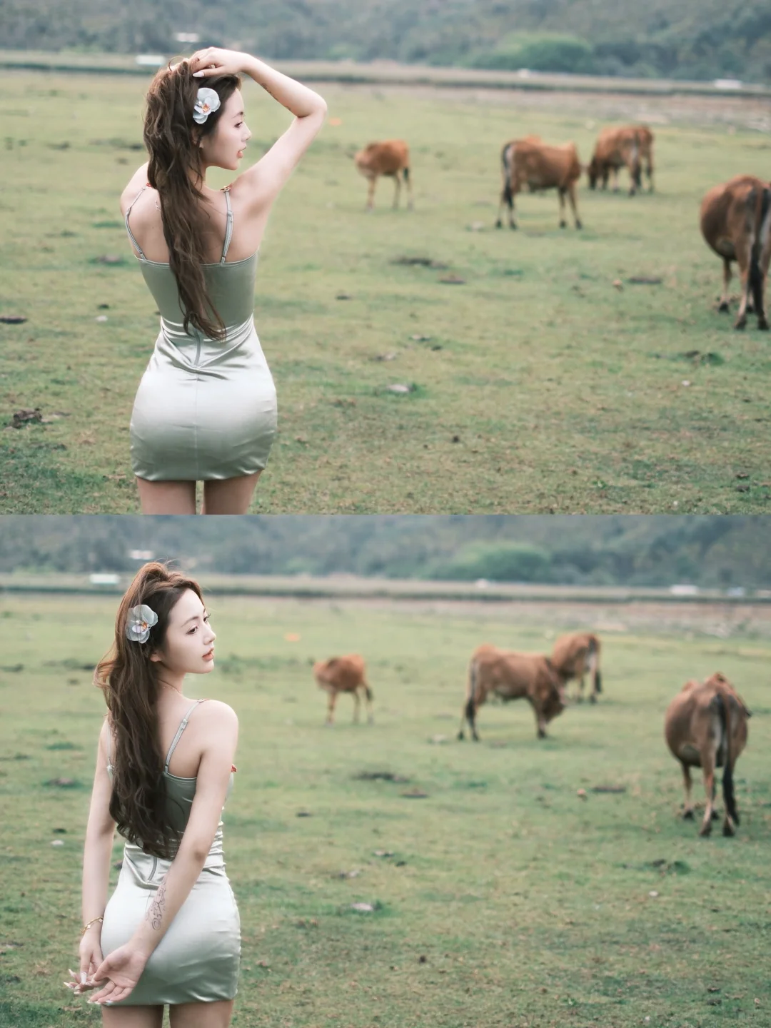 桥海牧场｜真的来一下开心农场叭～