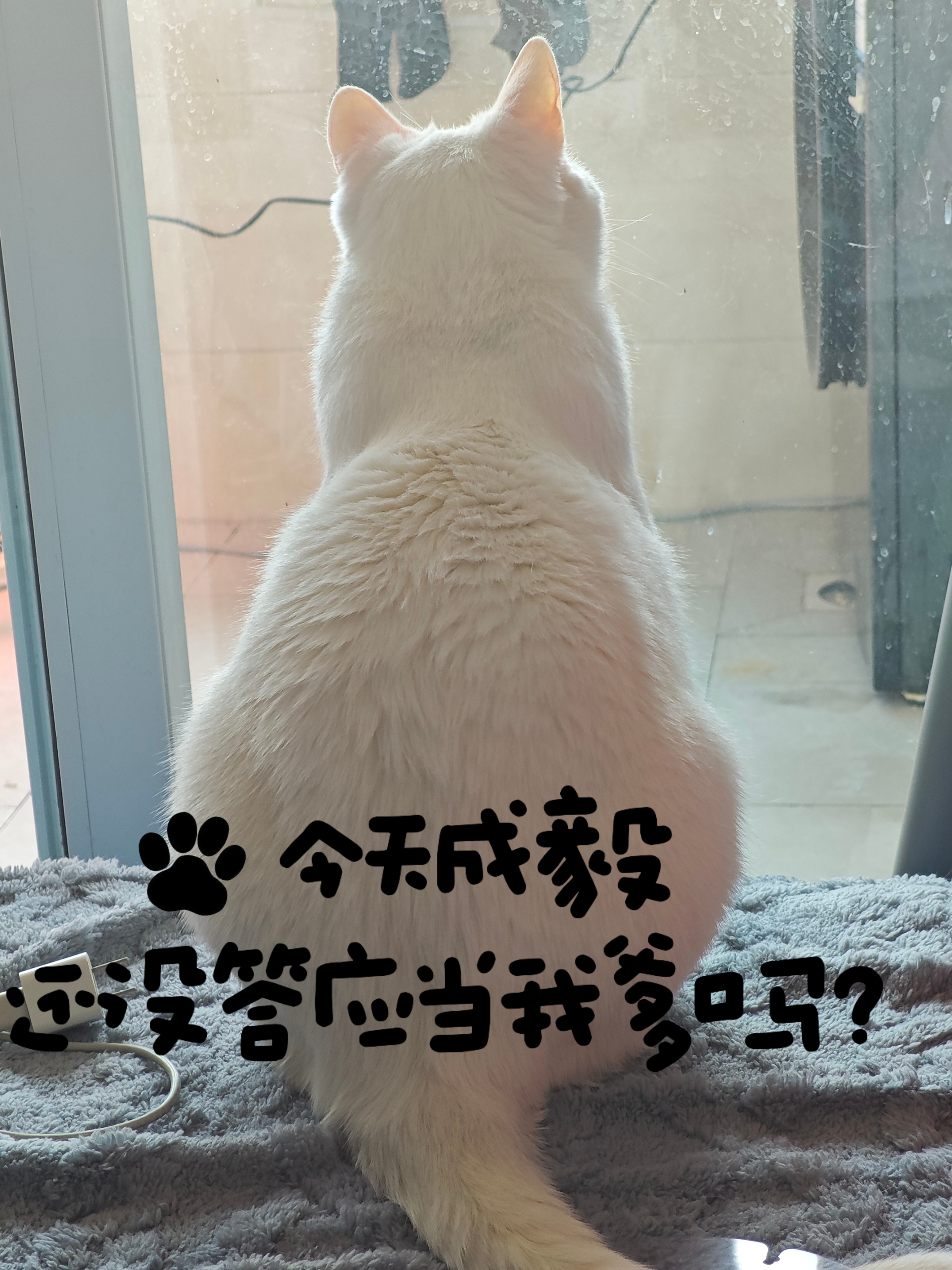 九命啊，孩子哭着找爸爸我给孩子说爸爸HK出差回来就会见他的姐妹们我做的对吗
