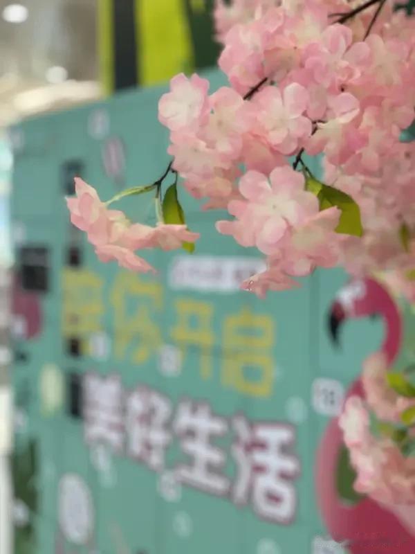 春日生活打卡季 春日已至，这是一场与时光的温柔约见。春天总是悄无声息地改变世界，