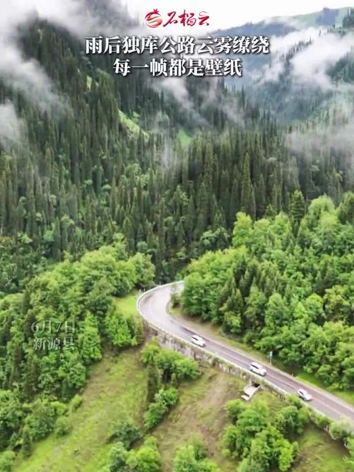 雨后独库公路云雾缭绕，每一帧都是壁纸。
石榴云。
6月7日，新源县。细雨过后独库