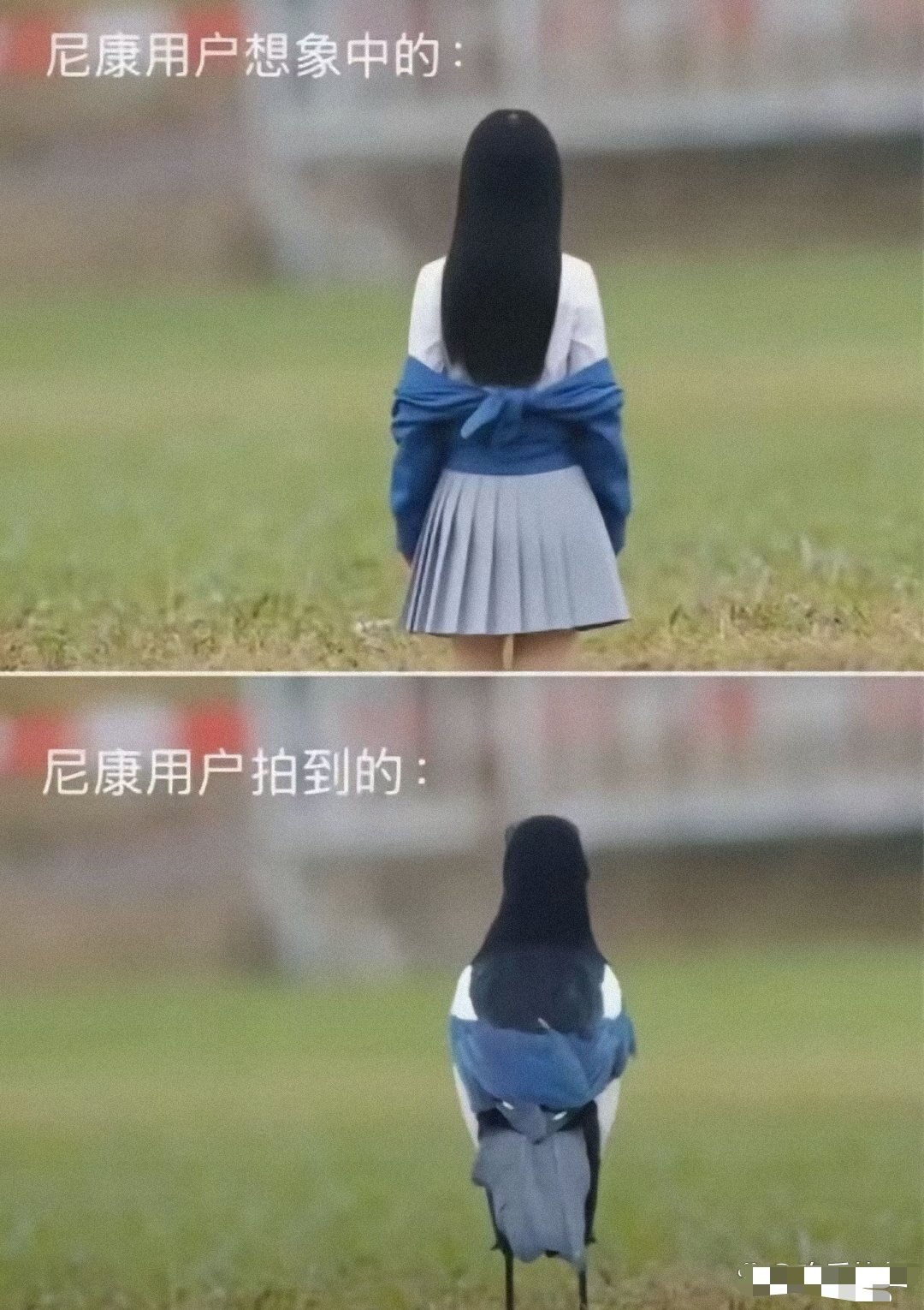 佳能这招太损了 