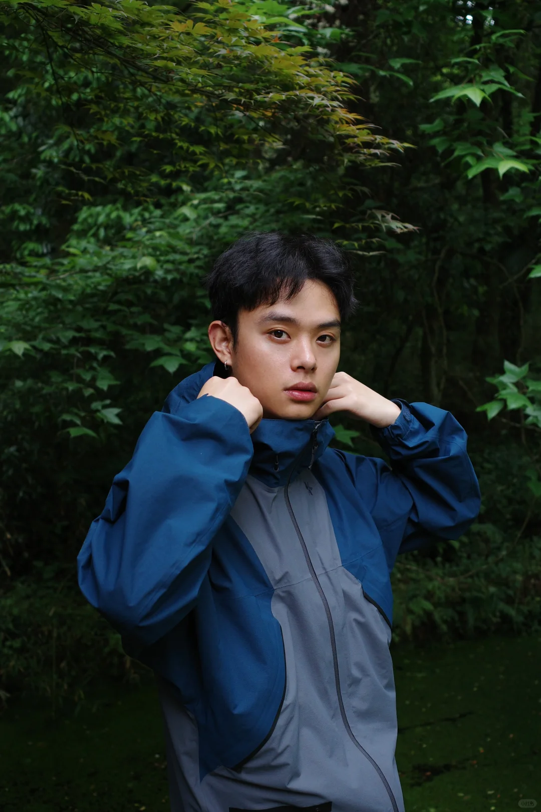 绿色给我氧气