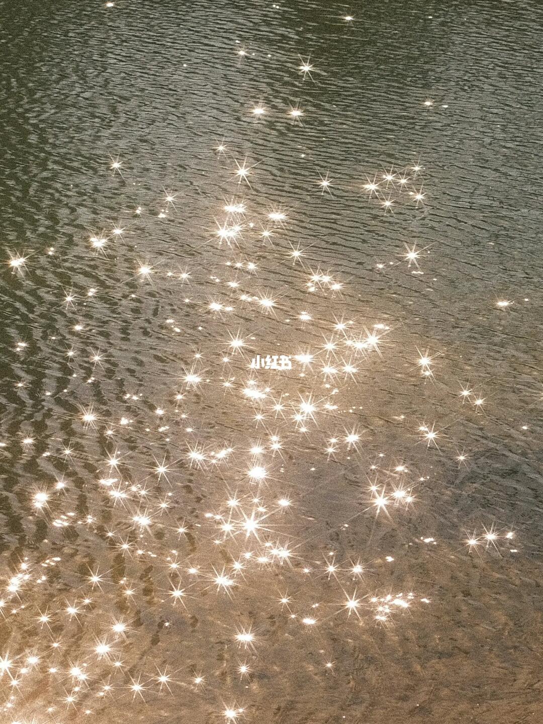 摄影知识| 如果使用相机拍摄出星芒效果