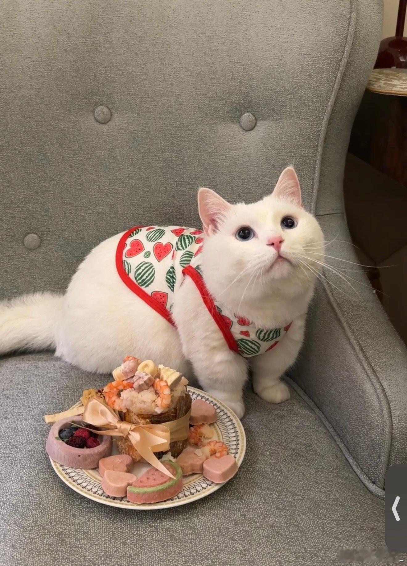 Coco：谢谢姨姨给我做的蛋糕🎂和姨姨给我做的小帽子我小汁也太幸福了～ 