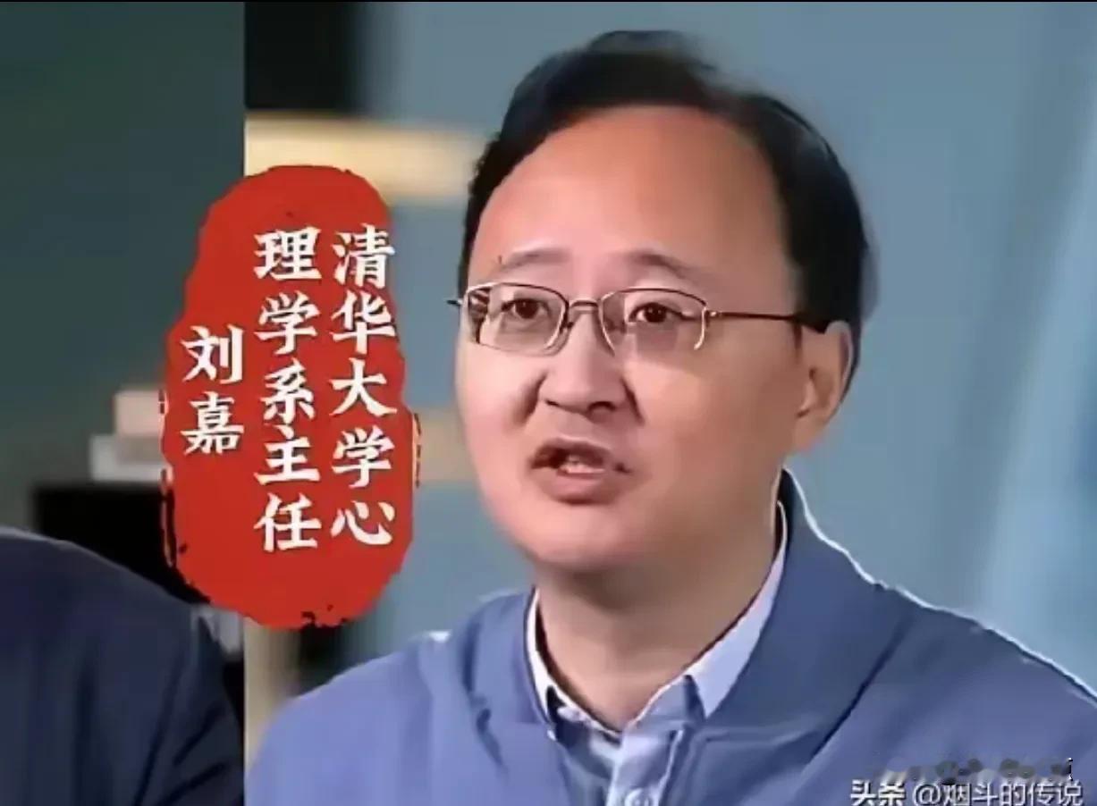 清华大学心理学教授刘嘉，外行人完全说外行话！典型的无知者无畏！
关于人工智能。他