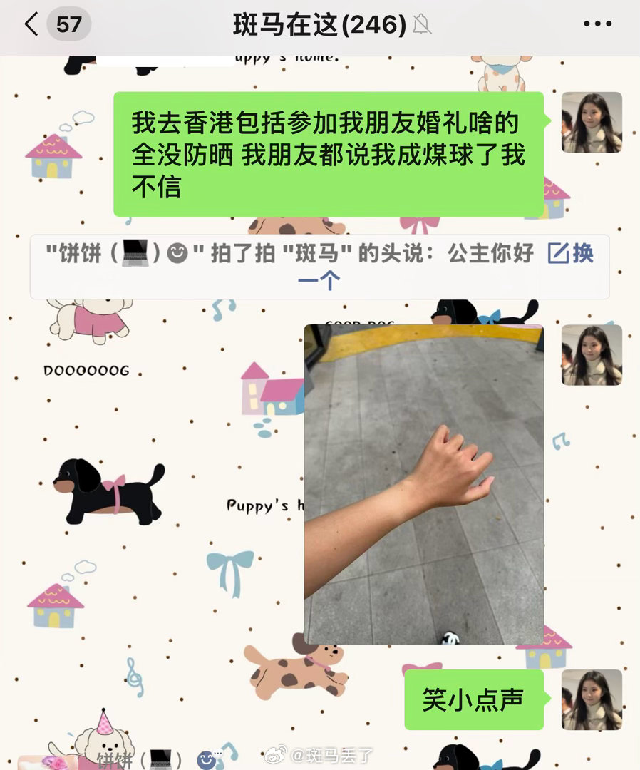 哈哈哈哈哈呵呵我信了 