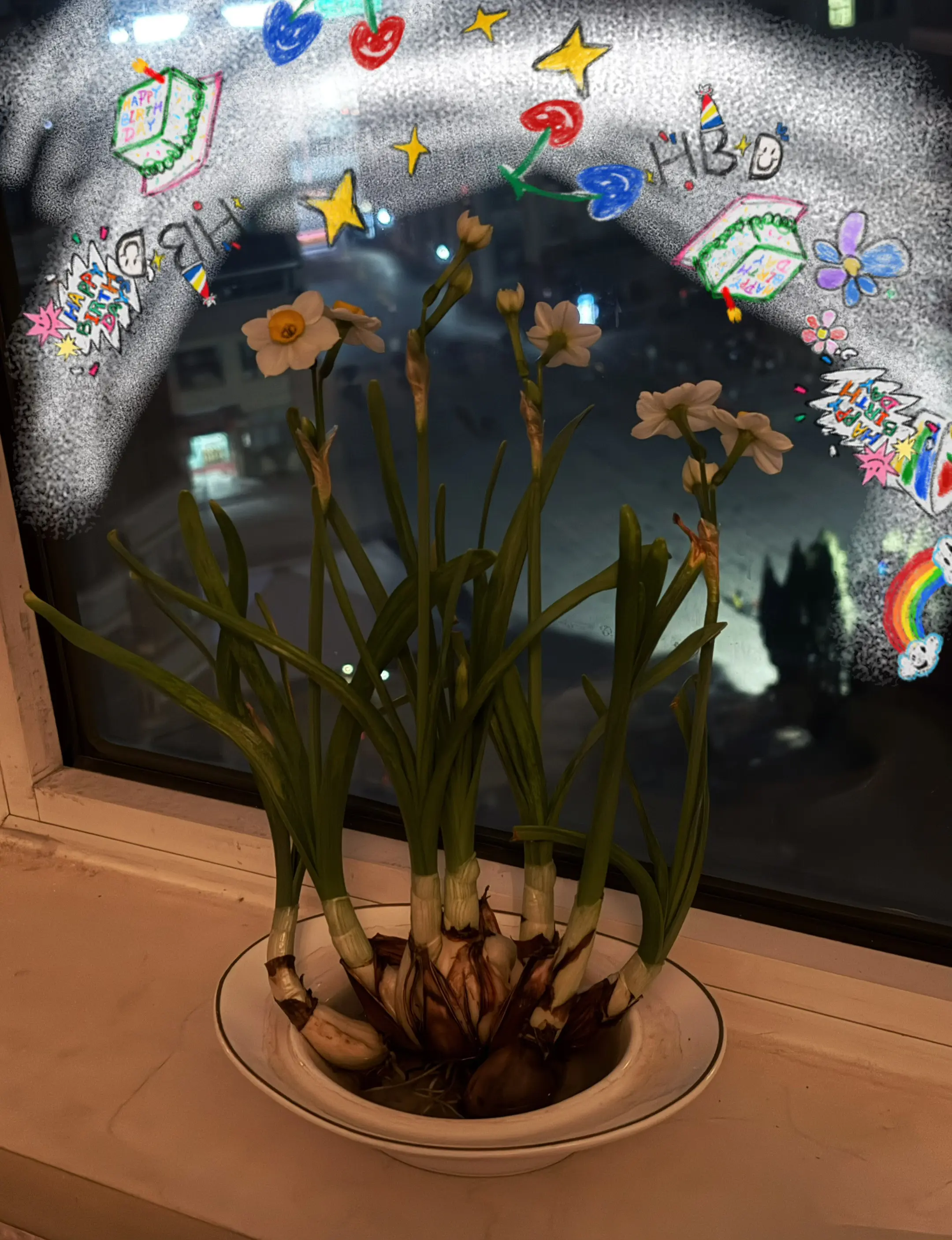 没想到在英雄山和捏捏随便买的水仙花 在我去青岛回来后自己开花了 那段时...