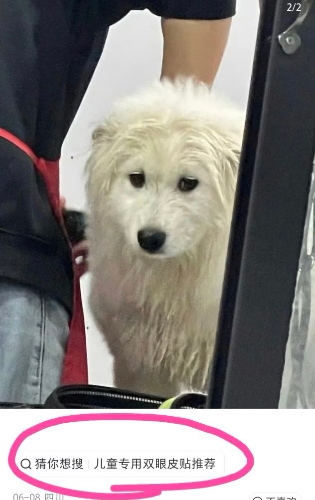 ？ 