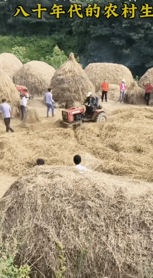 八十年代的农村生活，你经历过吗？