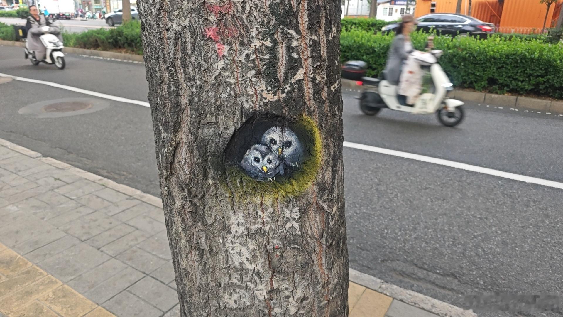 五月再见～六月您好!记录美好生活五月再见六月你好