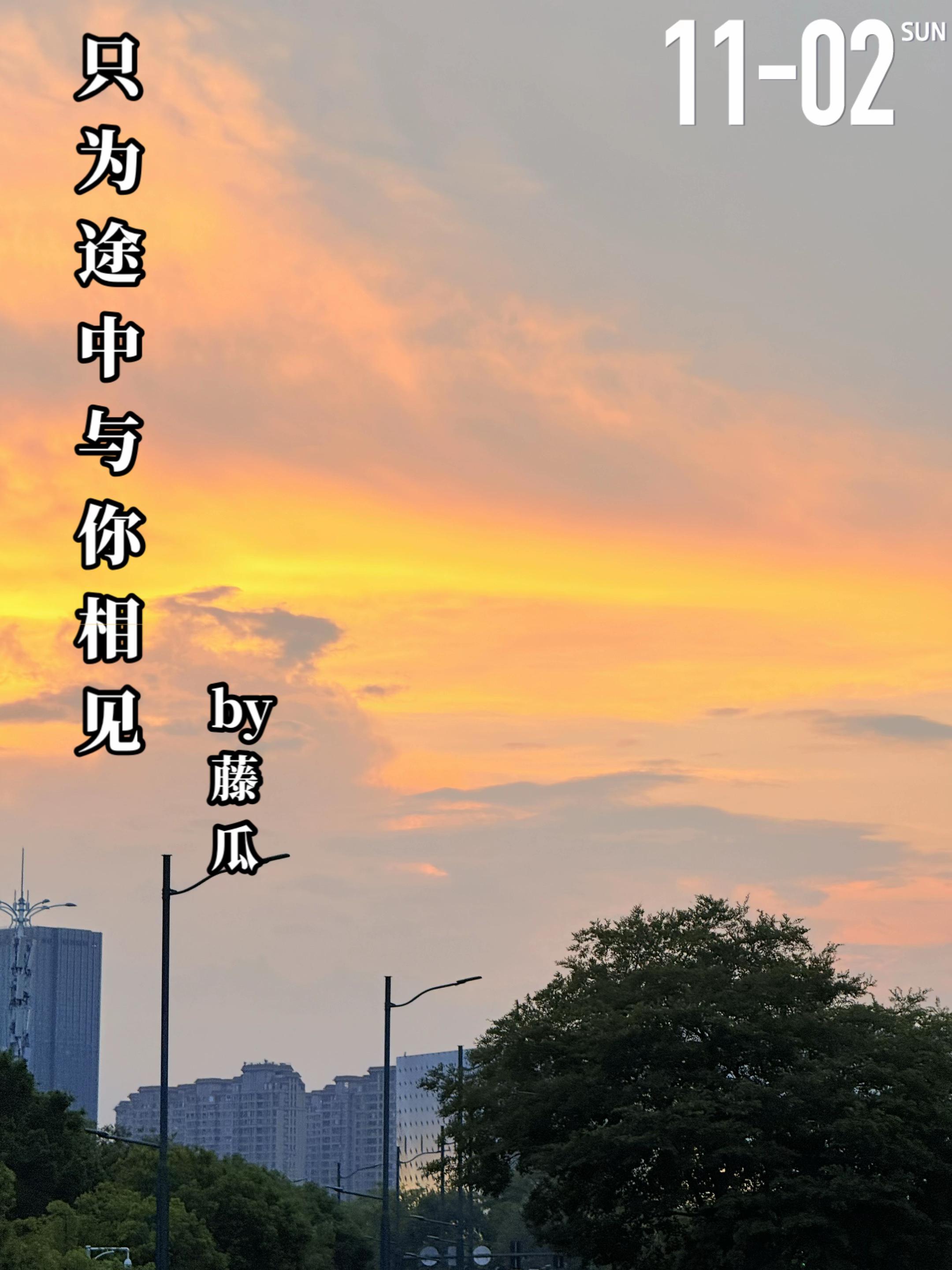 《只为途中与你相见》by藤瓜。裴樱（女主）八岁时父母双亡，此后寄养在省...