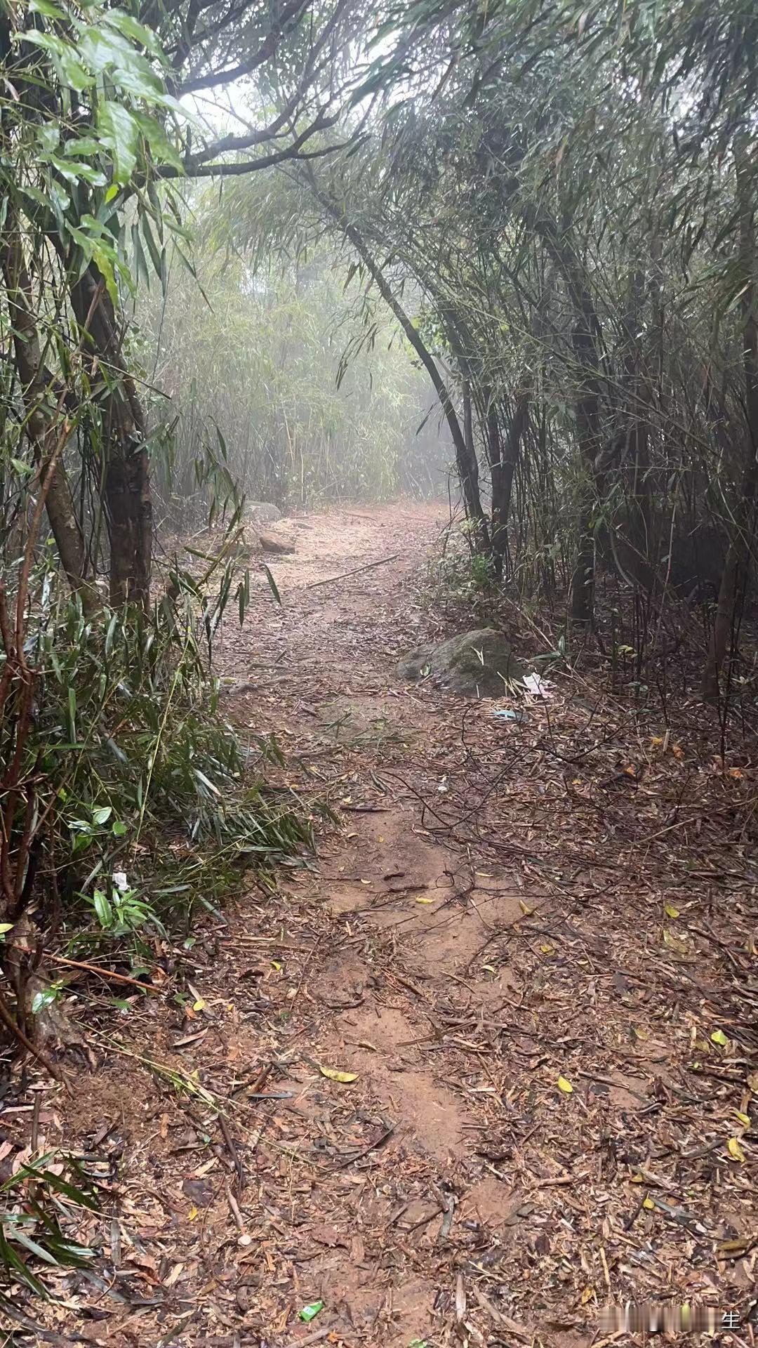 我以为昨天暴雨，今天才是机会，没想到结果还是一样。
     今早 6 点多就起