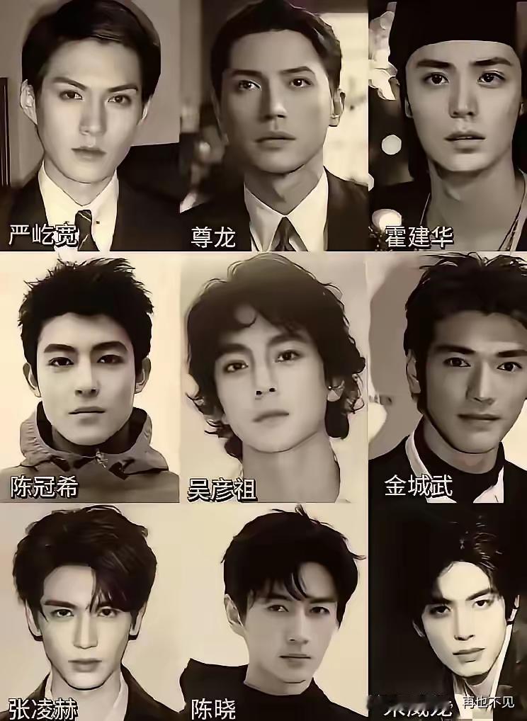 谁最好看？这些都是颜值天花板级别的，有亚洲最美的男人尊龙，有颜值最国际范的严屿宽