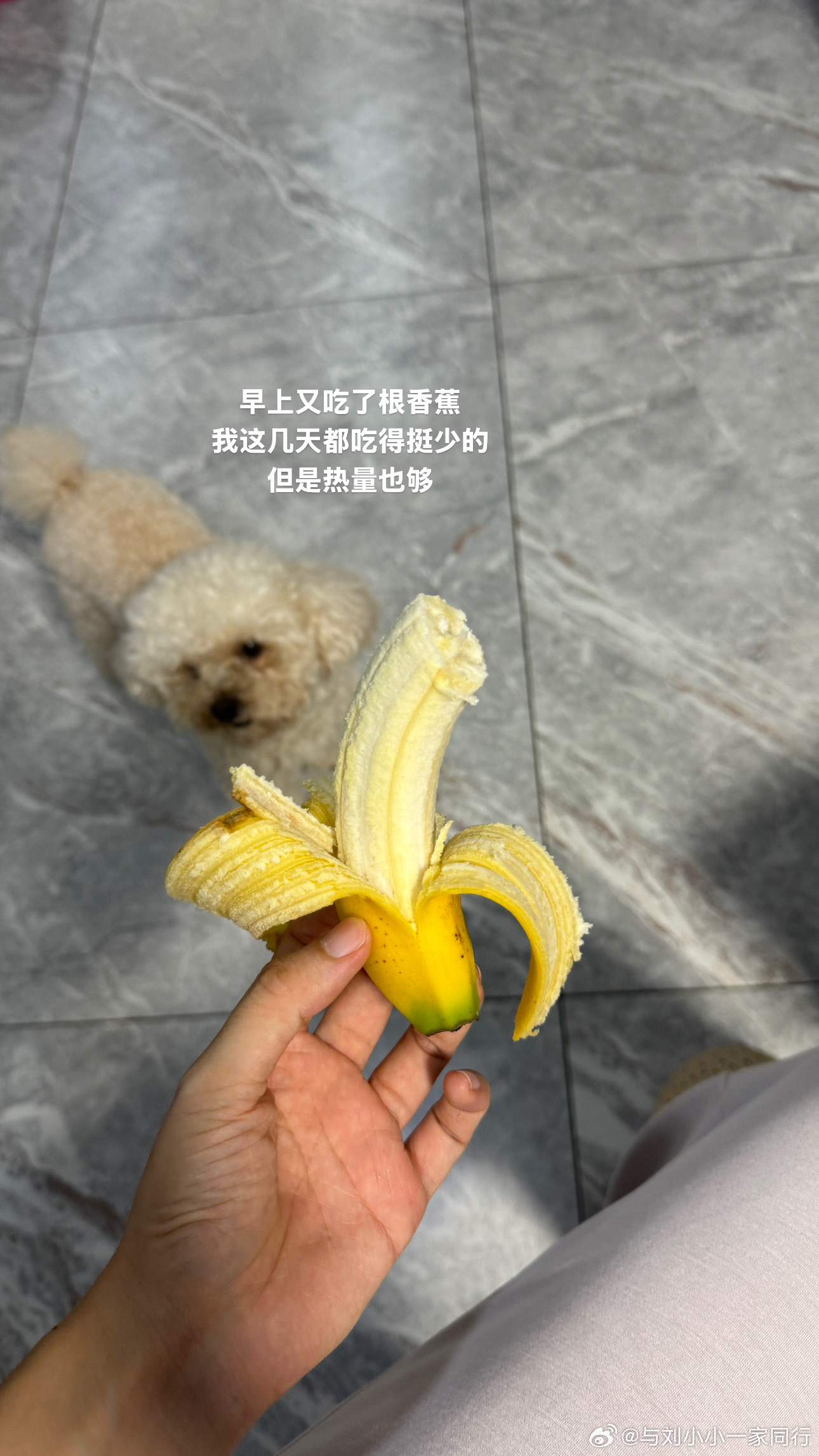 刘小小一家plog 